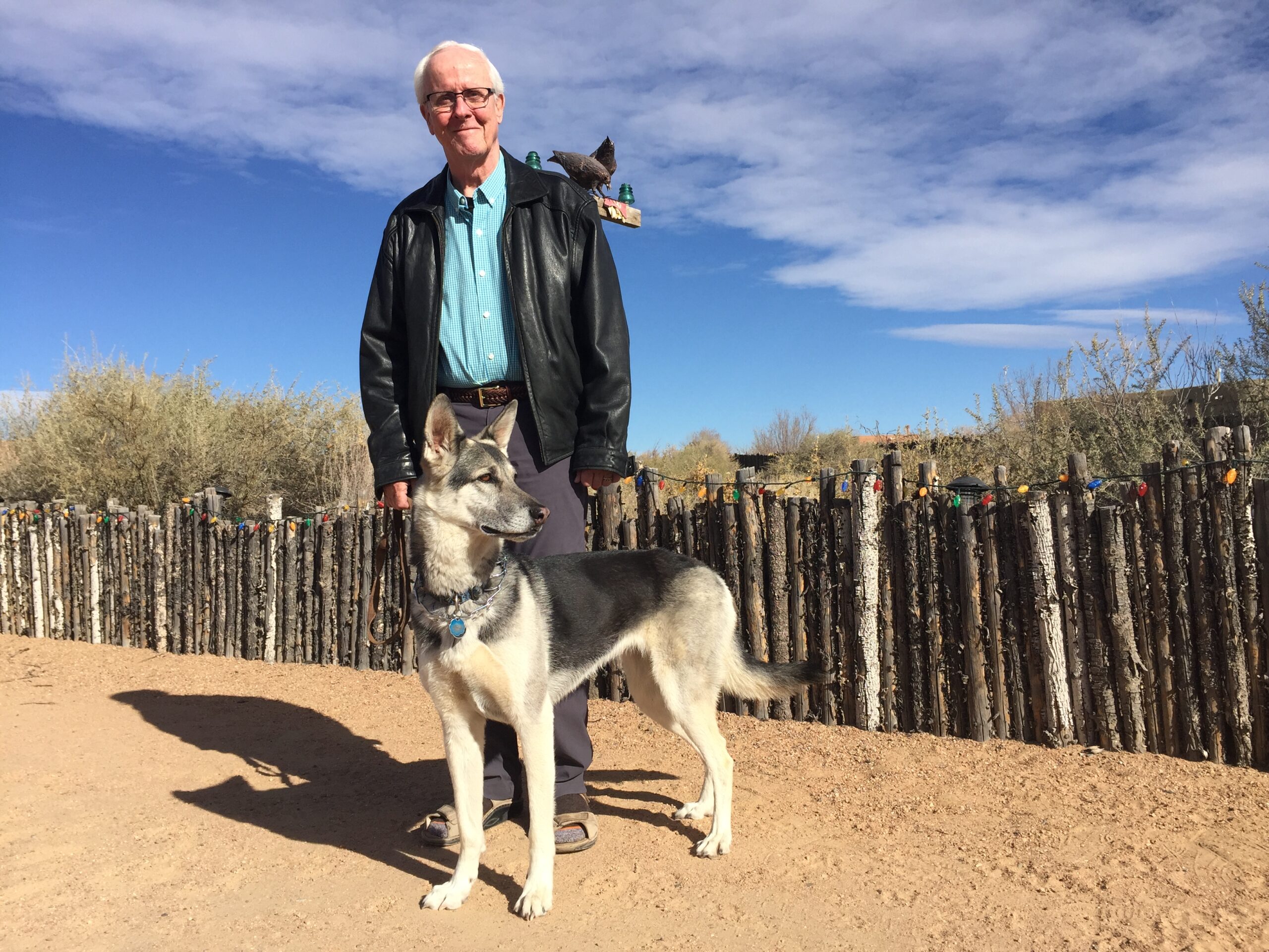 Jim Belshaw with his German Shepherd, Gracie