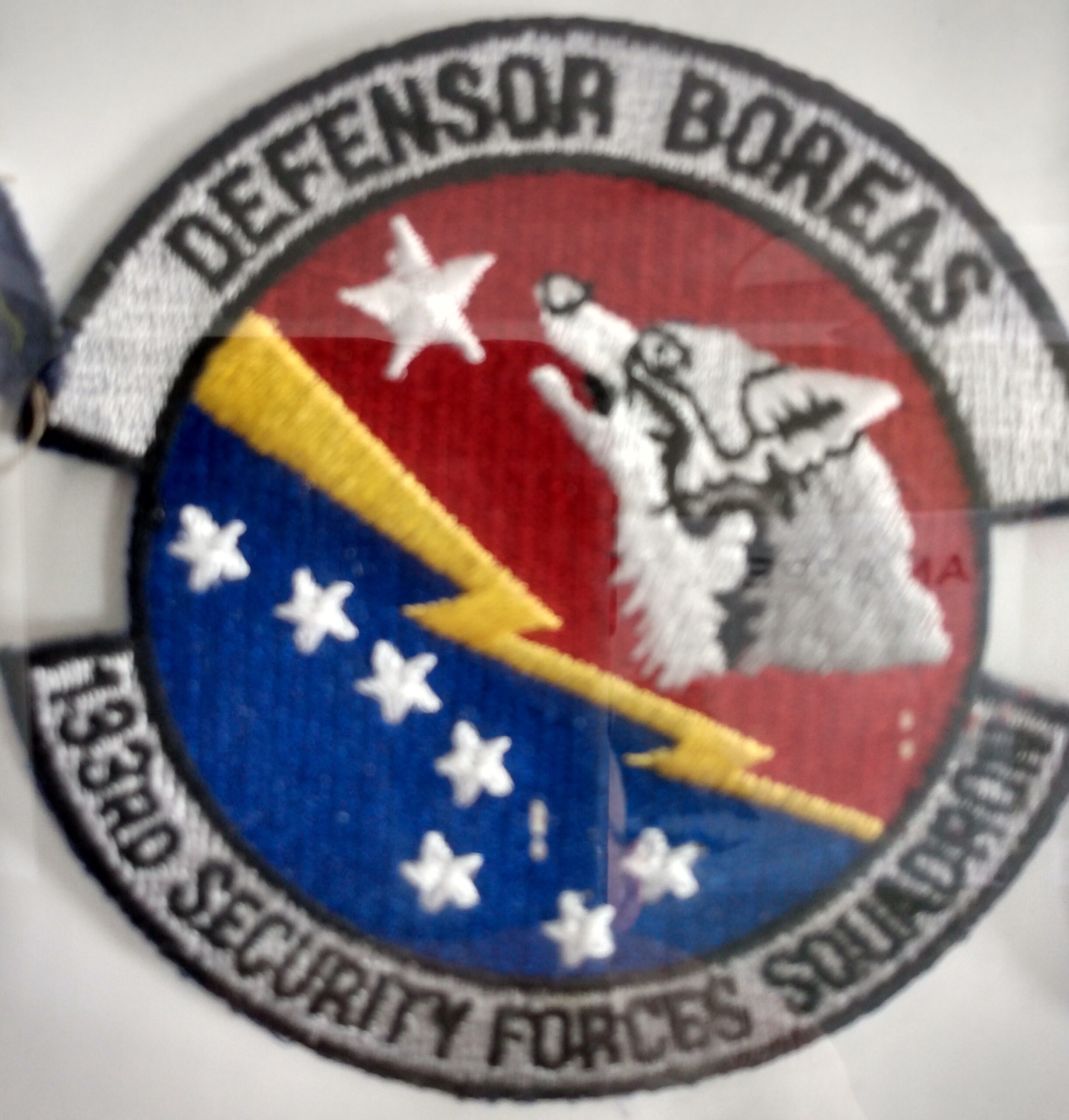 133rd Security Forces Squadron patch