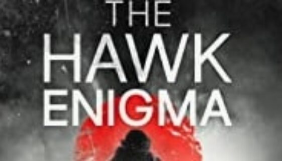Cover of The Hawk Enigma