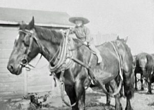 Boy riding farm workhorse